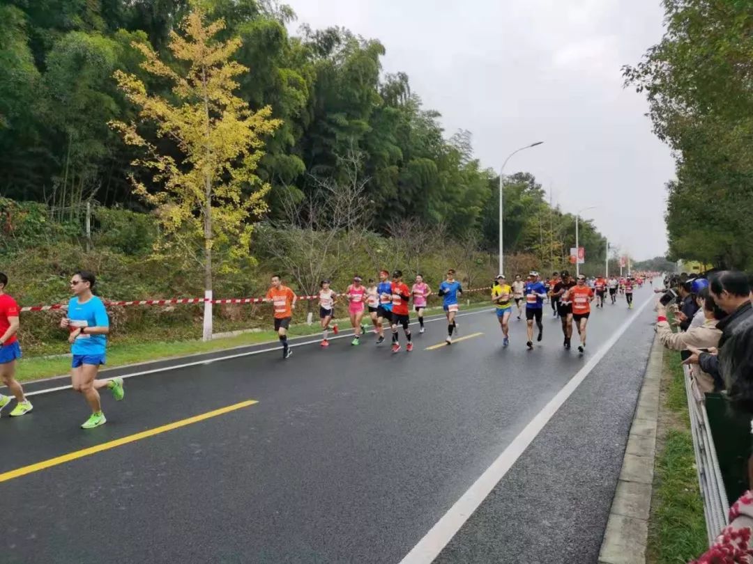 Scout回归赛场，回归赛场首场状态亮眼，切尔西观众沸腾！的简单介绍